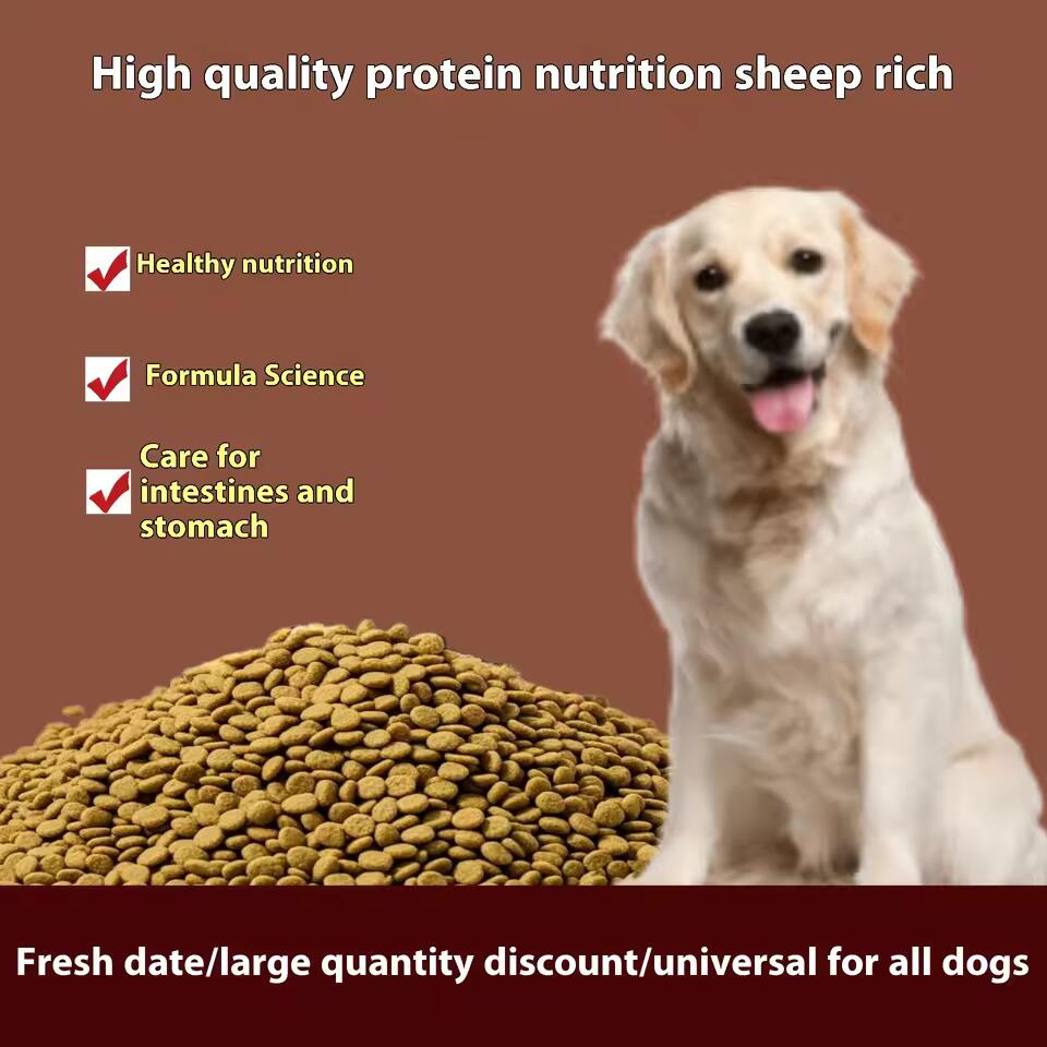 Dry Dog Food