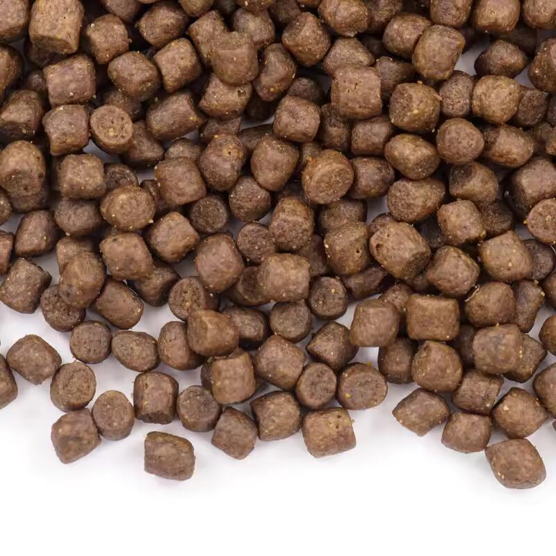 Dry Dog Food