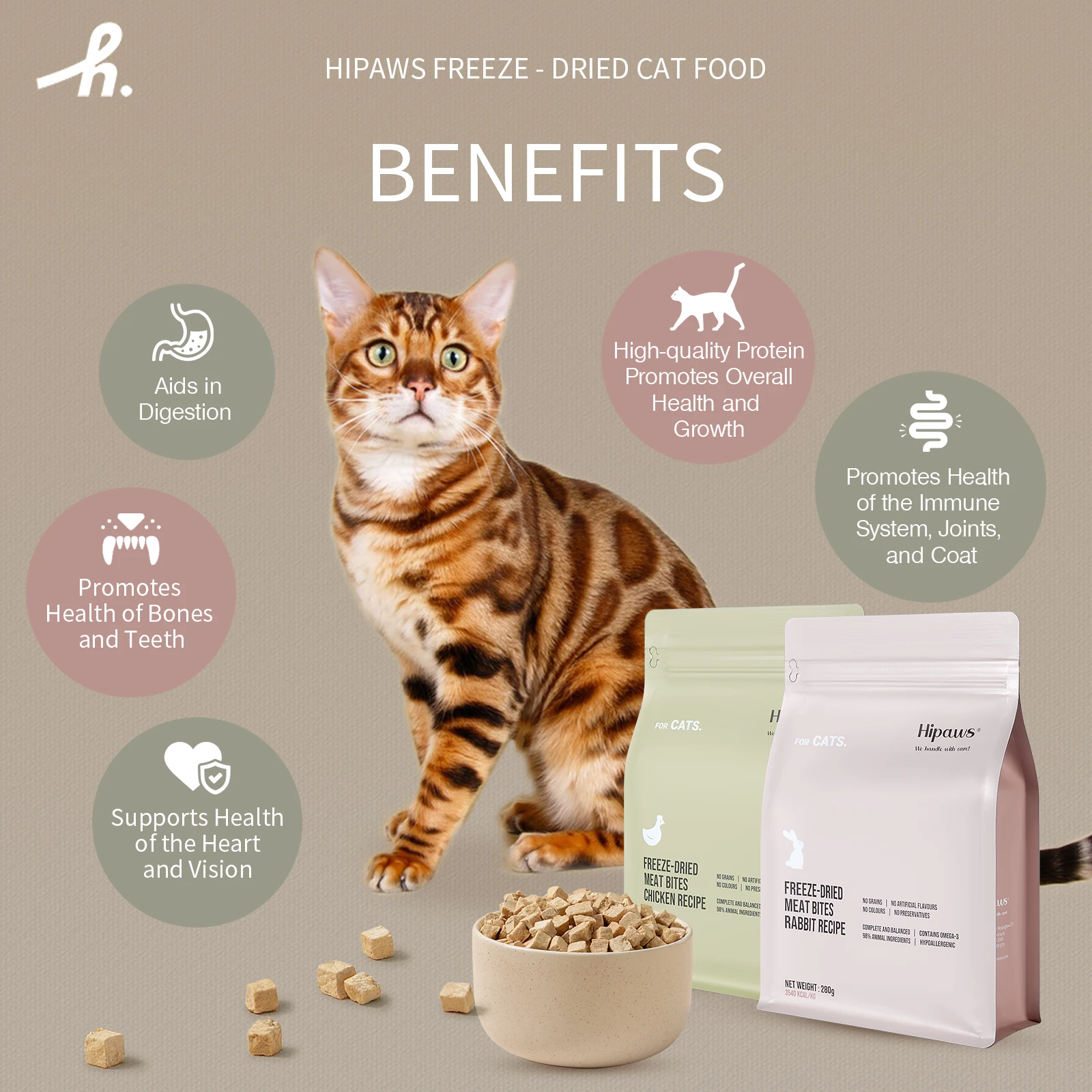 Cat Food