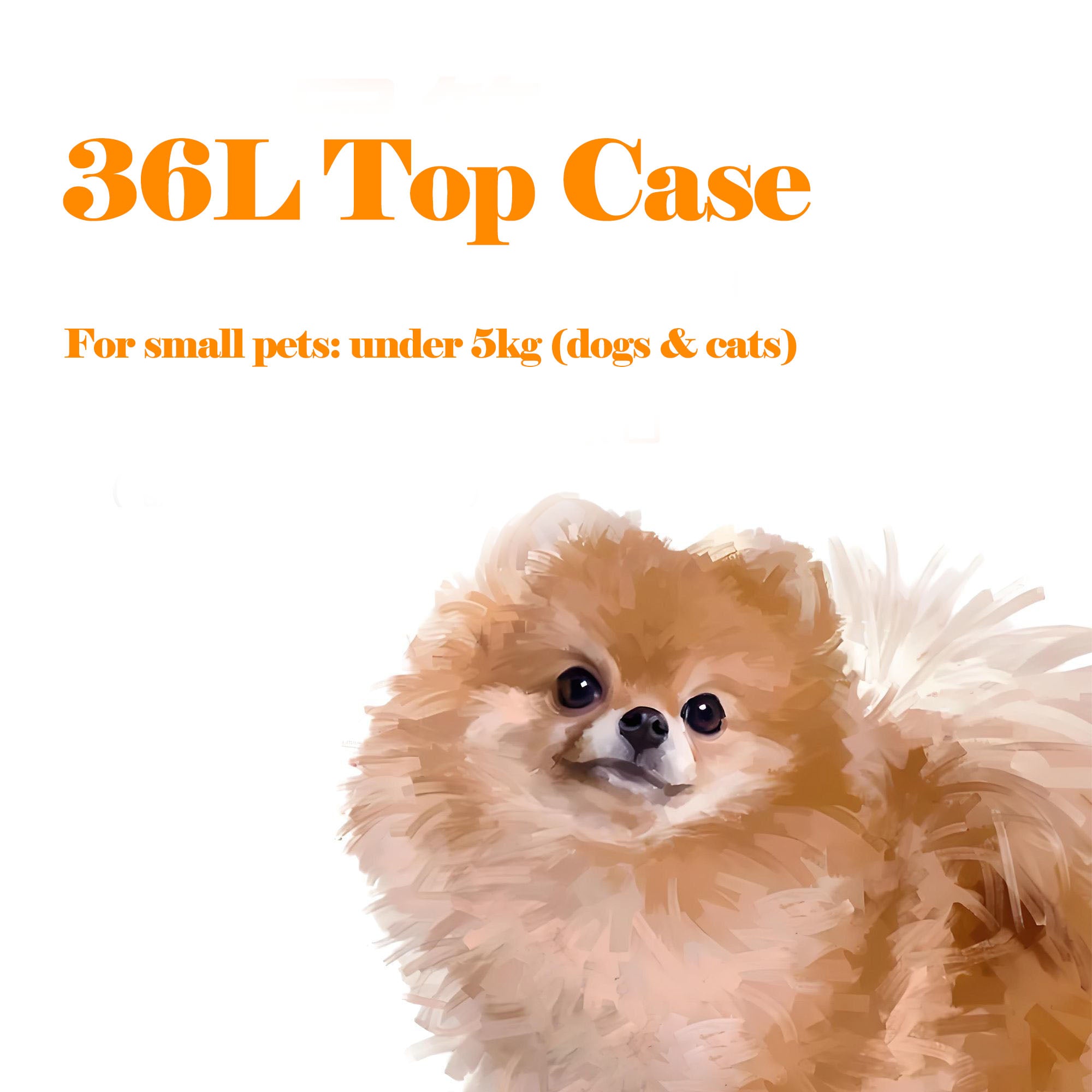 Motorcycle Pet Top case （Dual Viewing Windows + Ventilation Port）