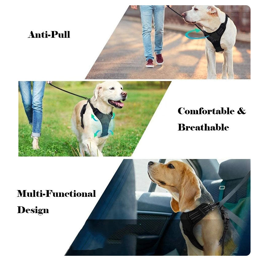 Pet Harness