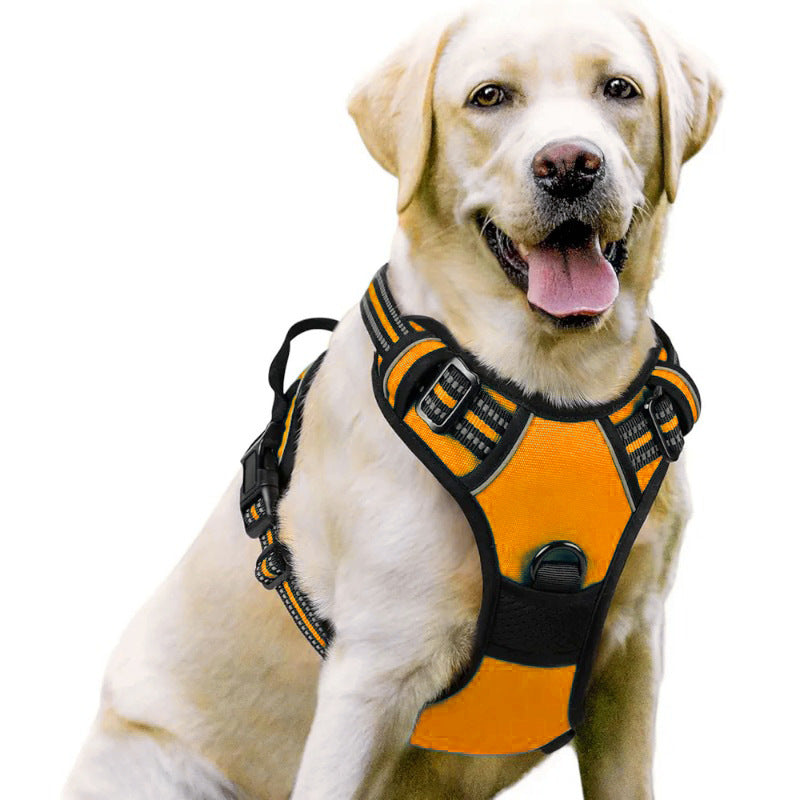 Pet Harness