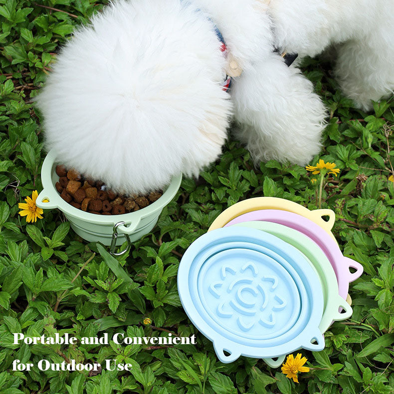 Foldable Pet Bowl