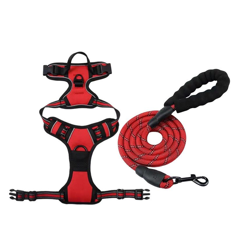 Pet Harness