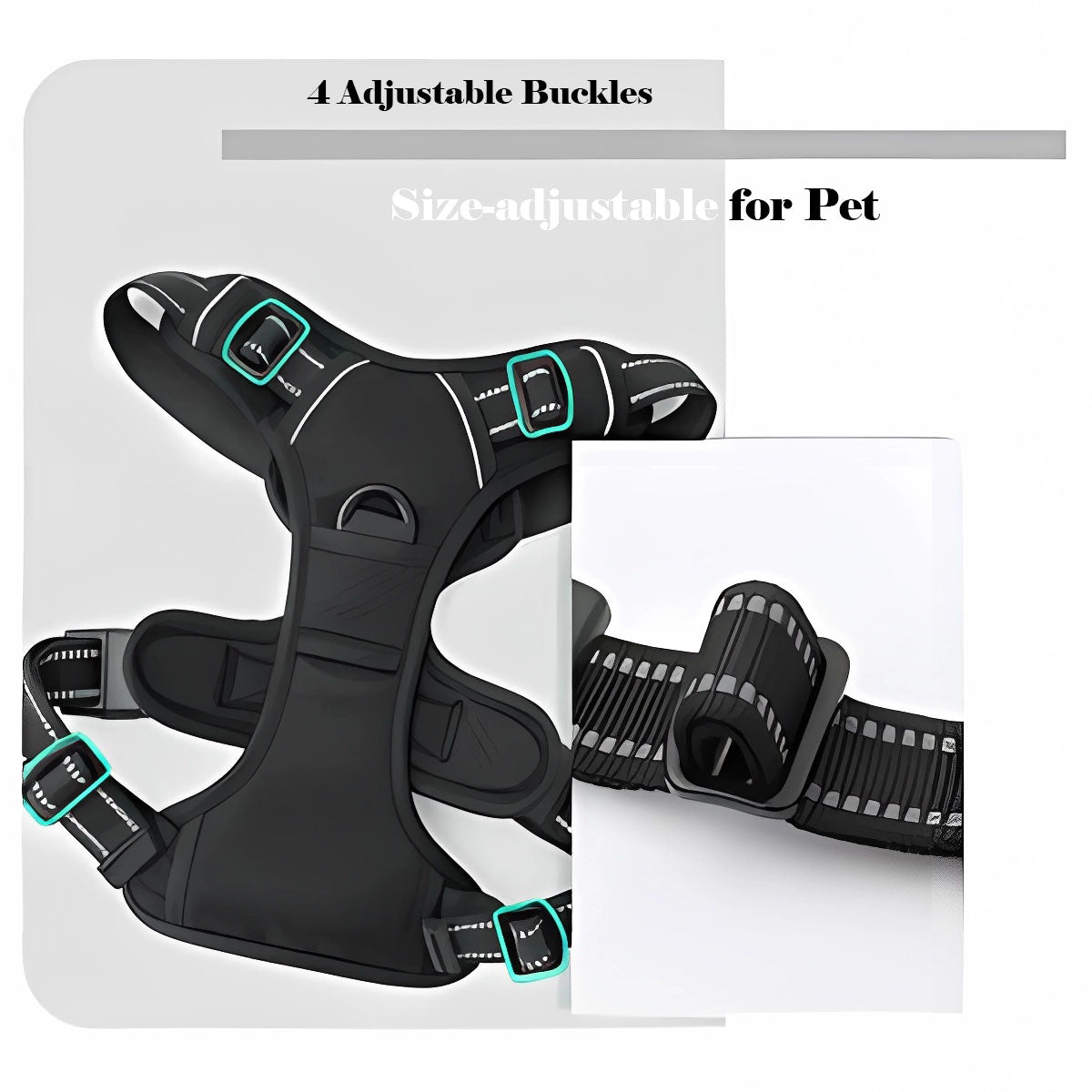 Pet Harness