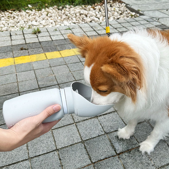 Motorcycle Pet Companion Water Bottle