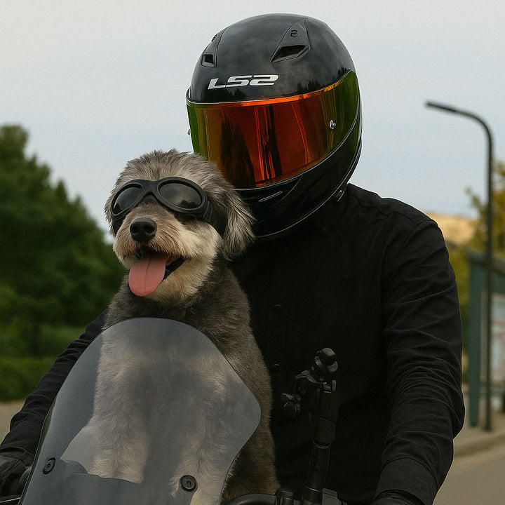 Pet Companion Motorcycle Goggles